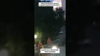 Пенная вечеринка прошла в одном из дворов Заречного😁