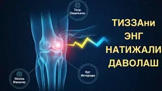 Тиза оғриқ, артроз ва асл кинезиология ҳақида. Охиригача кўрган ютади    #tiza #artroz #grija