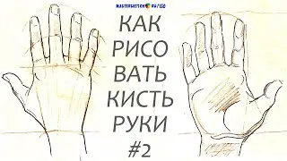 How to draw hands. Outline sketch and anatomical analysis #2