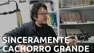 Cachorro Grande - Sinceramente (cover)
