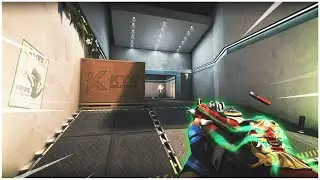 How a Color Bot Works in Valorant | Showcase 2025