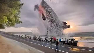 Megalodon Sighting CONFIRMED by Marine Biologists