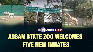 ASSAM STATE ZOO WELCOMES FIVE NEW INMATES