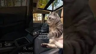 подписывайтесь 💗
