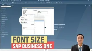 How to Change Font Size in SAP Business One