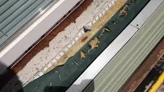Ужас, минеральная вата разрушает и разъедает в пыль