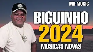 BIGUINHO SENSAÇÃO 2024 REPERTÓRIO NOVO AO VIVO NOVEMBRO 2024