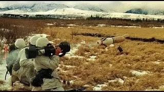 FGM-172 SRAW montage  [BF4]