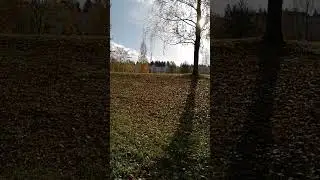 18 октября 2024 г.