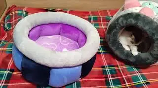 Мартин ругает меня за панибратство :)))