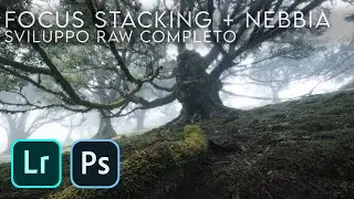FOCUS STACKING e come enfatizzare la NEBBIA | Sviluppo raw completo di uno scatto a Madeira (FANAL)