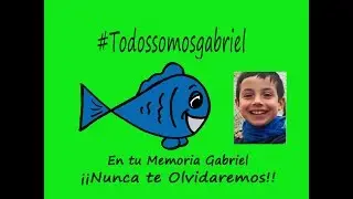#TodosSomosGabriel