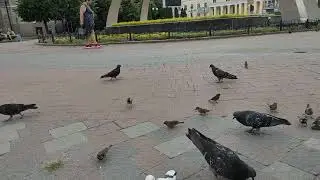 VID 20220808 153515