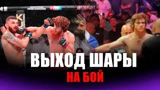 ВЫХОД Шары Буллета на бой против Олексийчука | Абу-Даби ЛЮБИТ россиянина