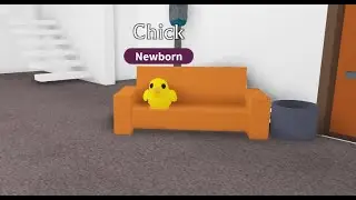 How to obtain the Adopt Me, Chick! Egg -- Adopt Me! -- ROBLOX