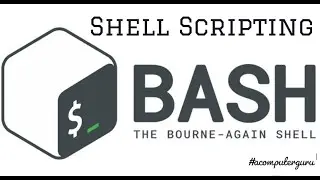 Bash Shell Scripting for Beginners- 05: How to Basic Shell Script | Simple Bash Script