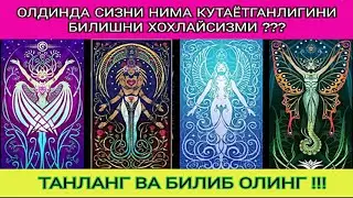 КАРТАЛАРДАН БИРИНИ ТАНЛАНГ ВА ЖАВОБИНИ БИЛИБ ОЛИНГ!