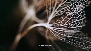 Shlømo & Parfait - Posh & Scary [Possession]