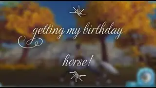 Buying a horse for my birthday!!!