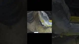 Нива проблемы с электрикой