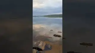 Вечерняя зорька