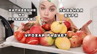 НАПАДЕНИЕ на хозяйство | Поездка НА ВОДЫ и Летний душ СВОИМИ РУКАМИ