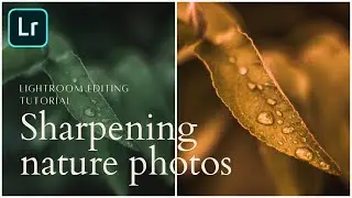 Sharpening nature photography editing tutorial