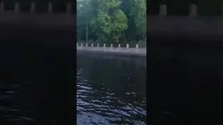 Фонтанка