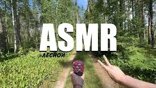 АСМР ЛЕС ОТ ПЕРВОГО ЛИЦА 🌳
