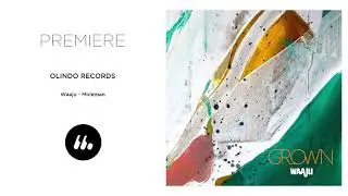 Waaju - Moleman (Olindo Records) | Le Mellotron Premiere