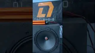 DL Audio Raven 250 V.2 (Тест)