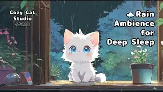 Rainy Night Piano & Gentle Rain Ambience 🌧️🎹
