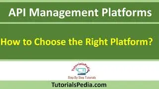 API Management Platforms | How to Choose the Right Platform?