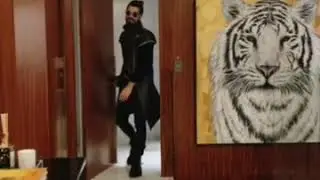 DJ ALOK New Viral Video 🤩🤩