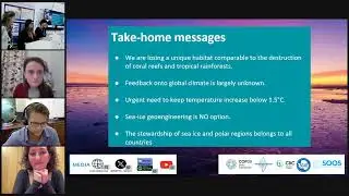 Vanishing Sea Ice: What It Means for Our Oceans and Ecosystems