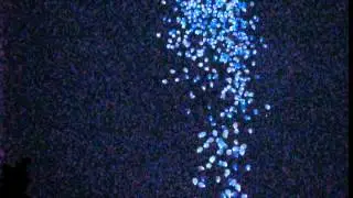 Светящиеся воздушные шары на празднике