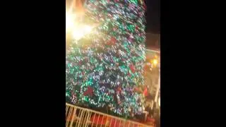 Jacksonville Landing Christmas Tree and Live Music