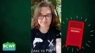 A Reminder to Put Wildlife First