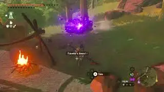 Zelda - TOTK - Minshi Woods Monster Camp