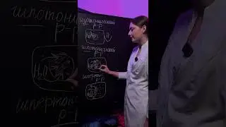 Что будет с эритроцитом в изотоническом, гипо и гипертоническом растворах?
