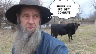 Why we DON'T have Cows or Goats..  Homesteading Life |  Off Grid