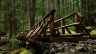 Nutu Timofte - Numai o luna de nu cant