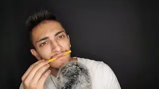[ASMR] TINGLY PEN NOMS! / FOR TINGLE IMMUNITY