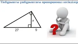 Тікбұрышты үшбұрыштағы пропорционал кесінділер, 8 сынып геометрия