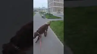 прогулки в 5.30 утра  всегда самые любимые, тишина, ни души, кайф