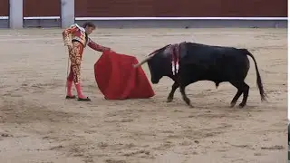 Bullfighting - Bull attacks Horse (documentary)