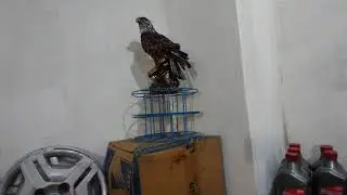 desmontando e montando pneu na forma tradicional (manual)