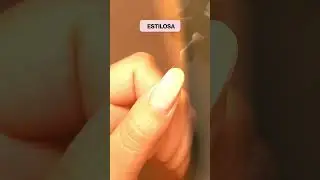 NUEVOS TONOS TRASLUCIDOS GEL POLISH