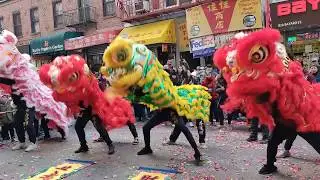 New York Lion Dance Brooklyn Lion Club Super Saturday 2020
