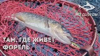 Там, где живет форель. Гуляем по лесной реке, ловим форельку и хариуса
